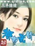 女总裁的王牌高手